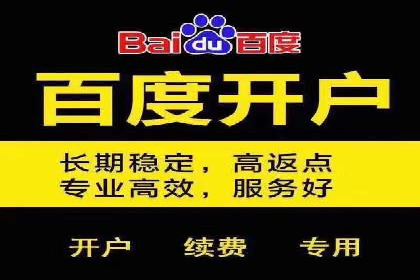 百度推广排名解析：某知名品牌成功上位的秘诀